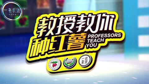 地瓜爆料视频大全最新,揭秘娱乐圈幕后真相  第2张
